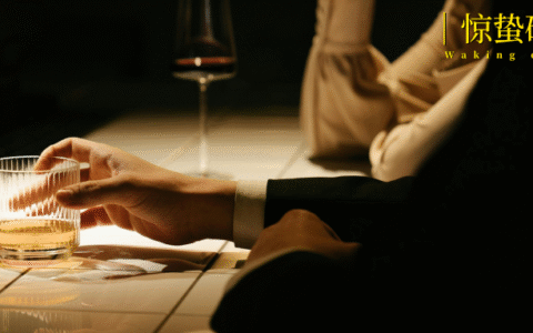 酒吧进化论：从夜晚出发，解锁9大新场景