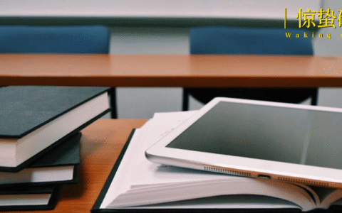 一觉醒来，专业没了