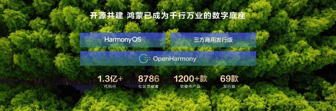 穿越微笑曲线的鸿蒙生态，正在颁发“未来世界通行证”