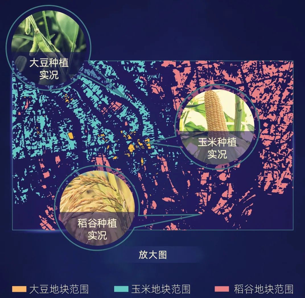 网商银行10年：一场科技执念