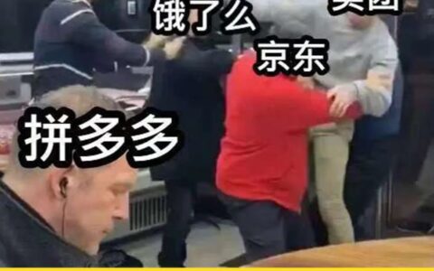 外卖大战在发癫，拼多多却沉迷千亿扶持