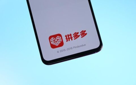 沉迷千亿扶持，拼多多和亚马逊一样念头通达