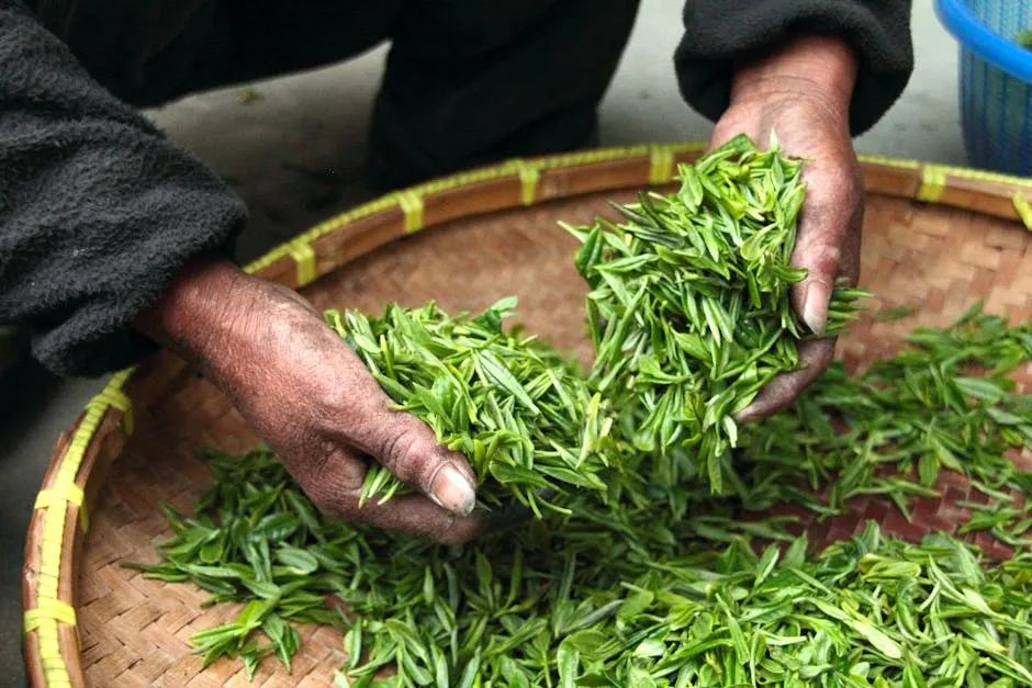 新中式茶啤：给微醺经济“提神”