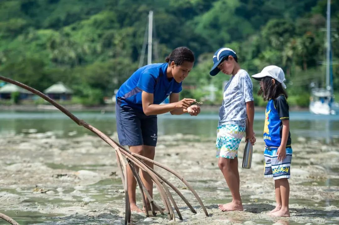 暑期战场,谁能“拿捏”家庭游的黄金密码?