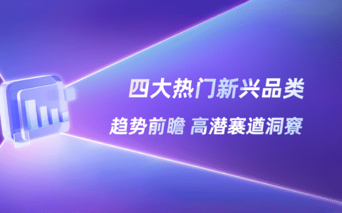 2025Q2小红书消费新图谱：四大新兴品类，引领行业增长