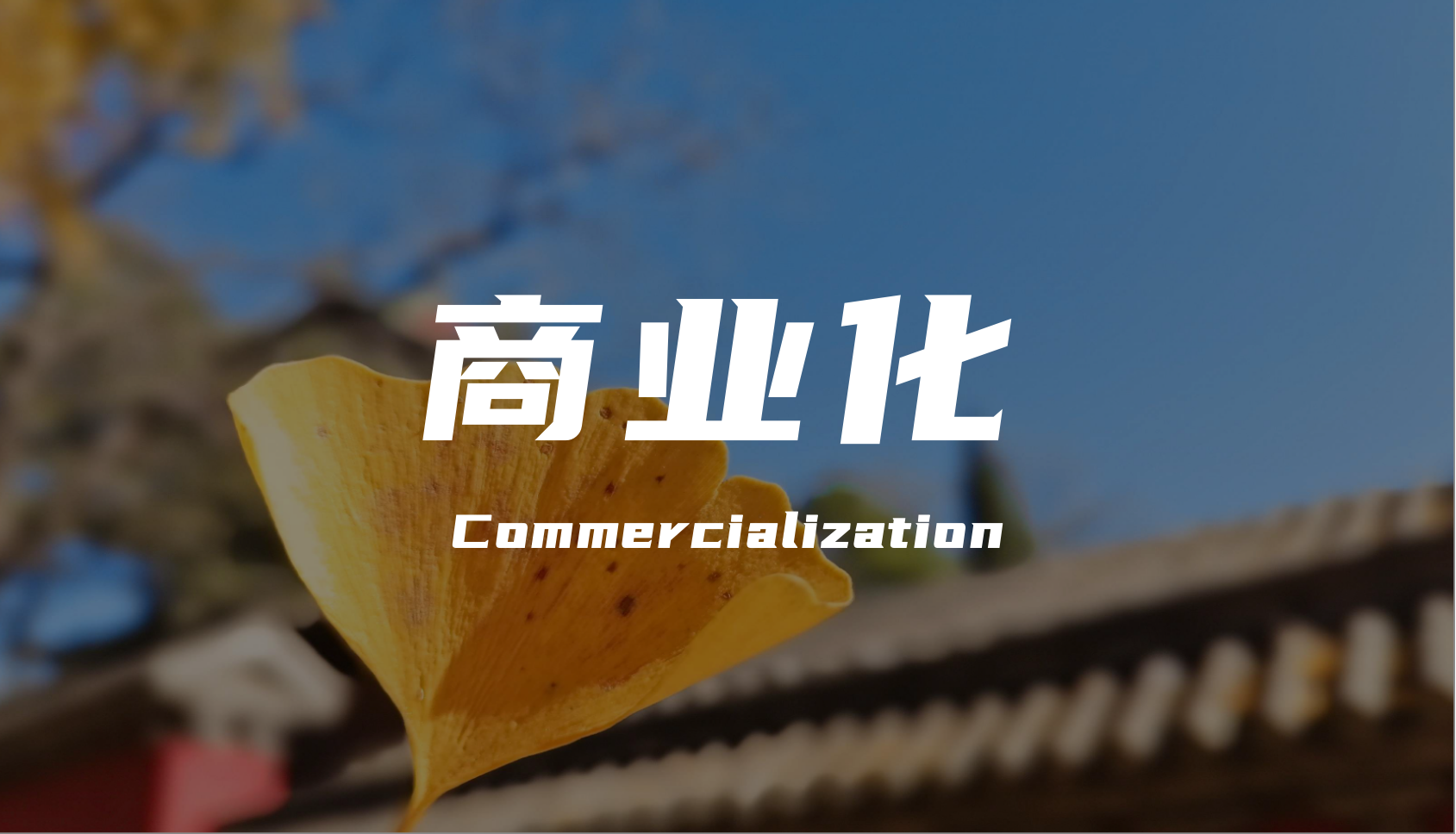 Commercialization