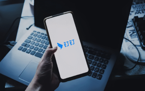 “破坏者”钉钉