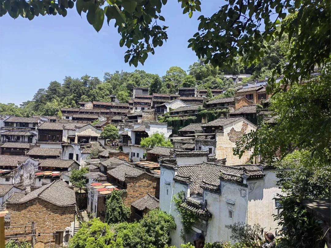 热血青年毕业，旅游业也燃起来了