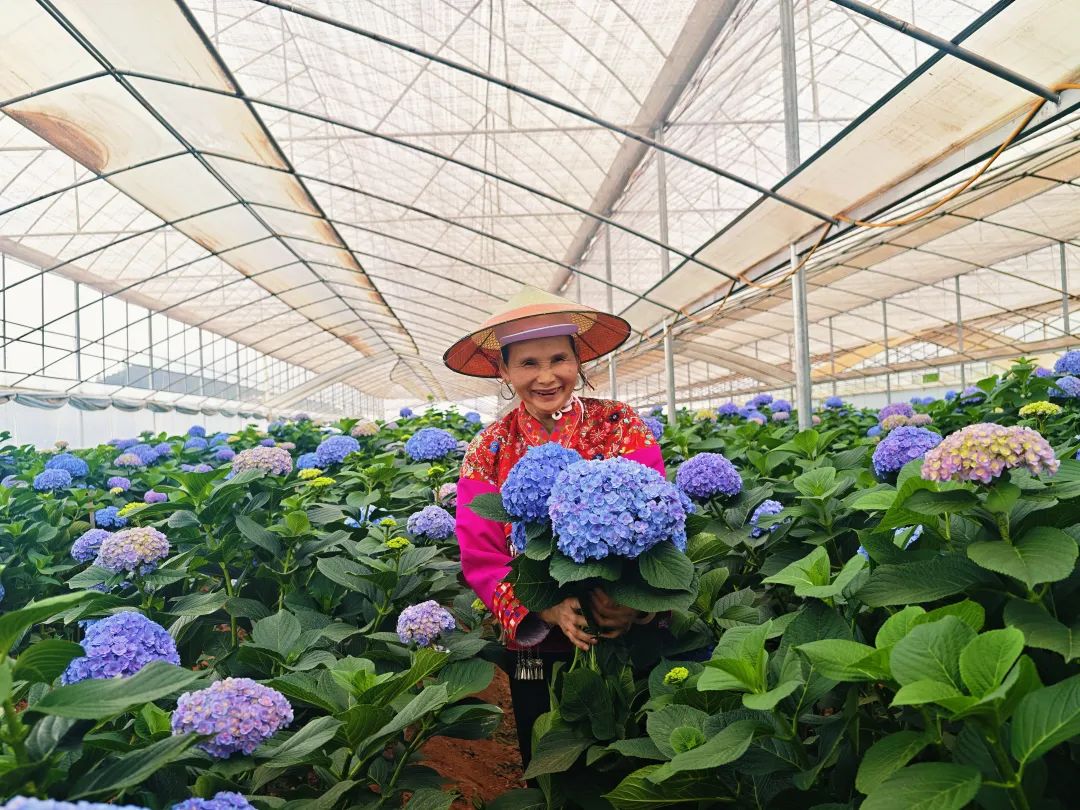 从菜篮子到生活方式，盒马如何拿捏年轻人的胃？