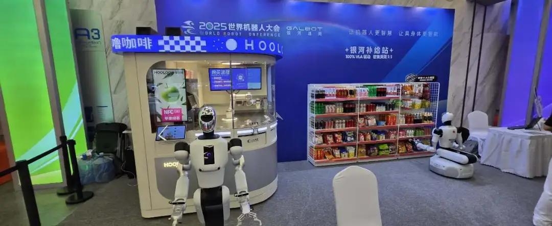 2025年,具身智能终于来到爆发前夜