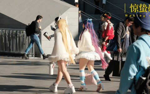 收割二次元，小红书准备好了吗？