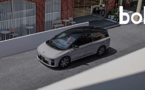 理想“用力过猛”？