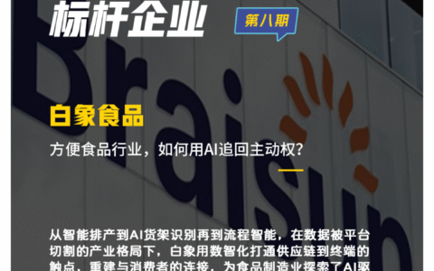 白象数智化，从一碗香菜面开始