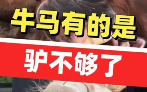 驴为啥不够了？它的品牌生态位消失了……