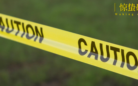 直播电商的规矩,终于有人来立了