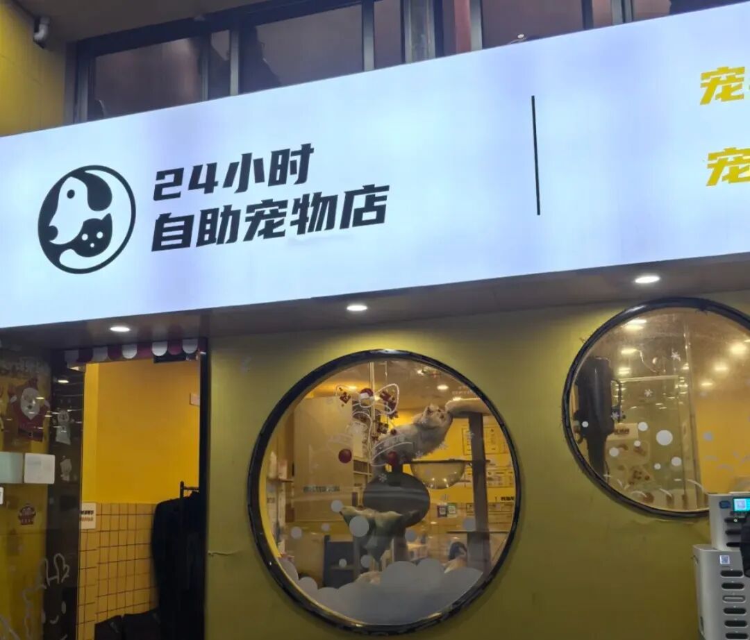 「i人经济」爆发，改造七大消费场景