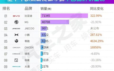 引领欧洲新能源市场，比亚迪实现重大突破