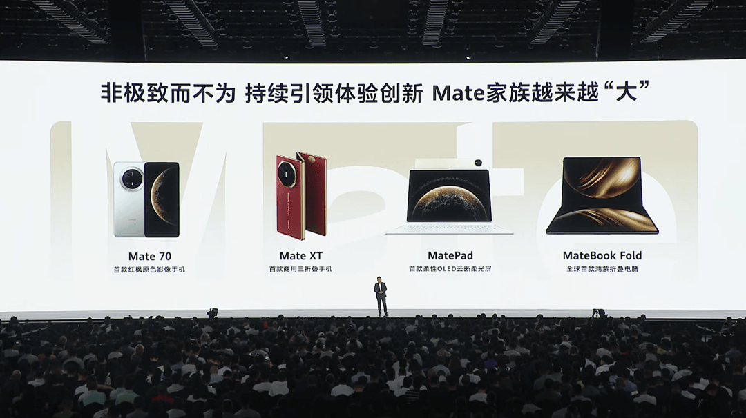 非极致而不为：华为智慧屏 MateTV为百年电视按下“快进键”