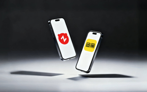 转转向左，闲鱼向右
