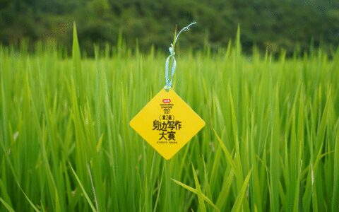 秋天，无数个胡安焉在小红书醒来