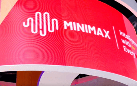 MiniMax的“版权劫”