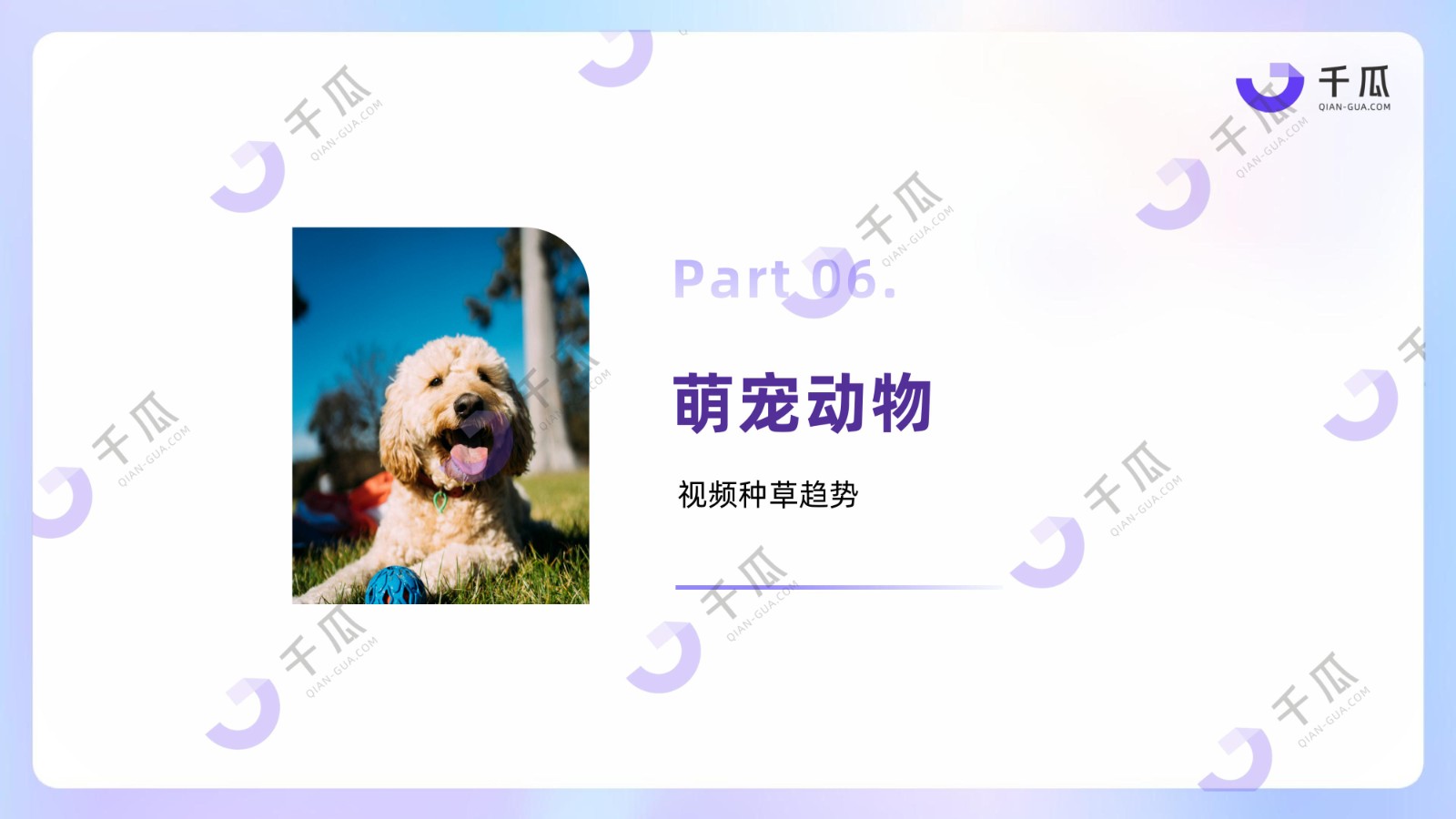 2025「视频笔记」种草洞察数据报告（小红书平台）
