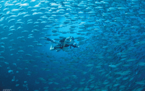 宿雾，如何满足中国游客的全部想象？