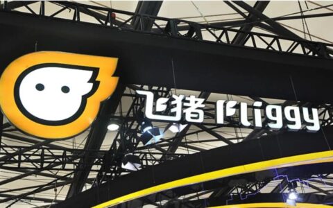 入群的飞猪，起飞了