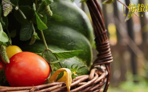 扎堆“有风的地方”，这八大田园经济崛起