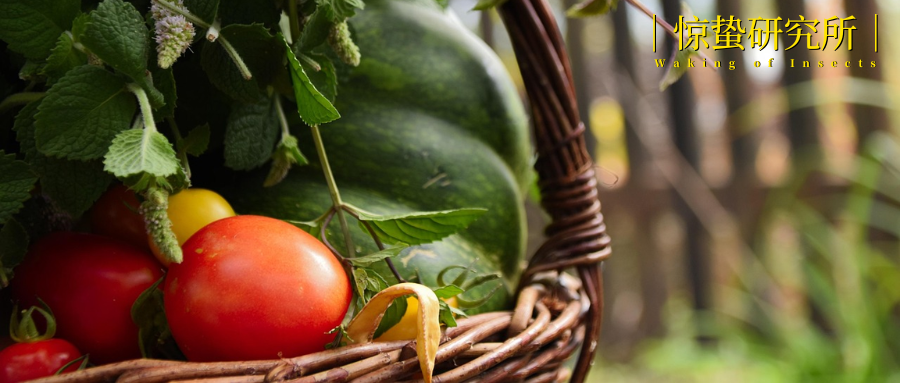 扎堆“有风的地方”，这八大田园经济崛起