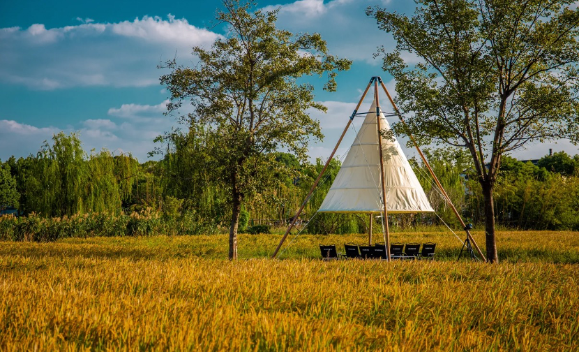 扎堆“有风的地方”，这八大田园经济崛起