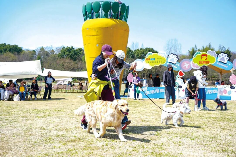 扎堆“有风的地方”，这八大田园经济崛起