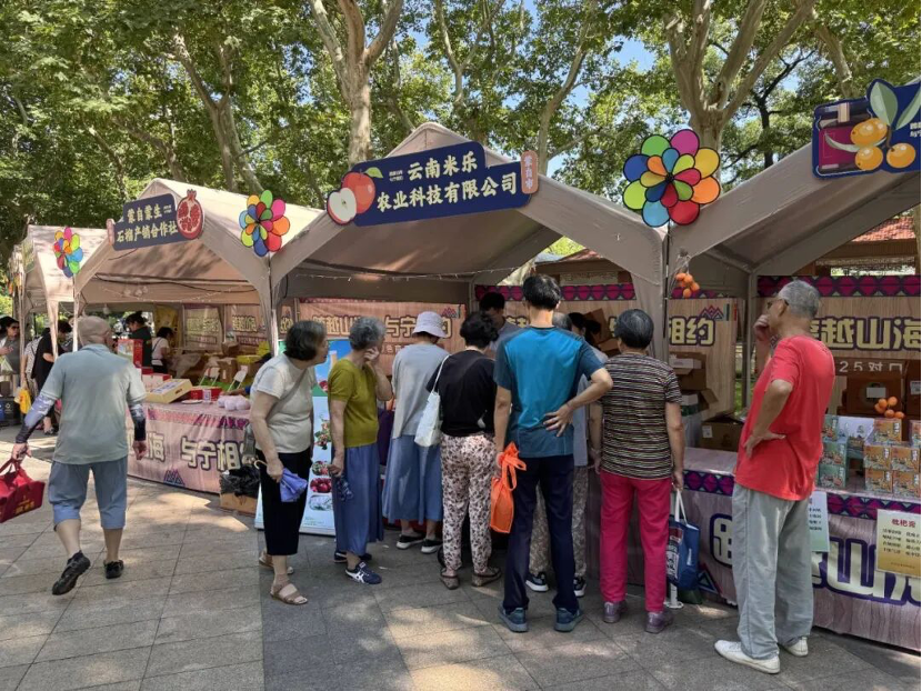 扎堆“有风的地方”，这八大田园经济崛起