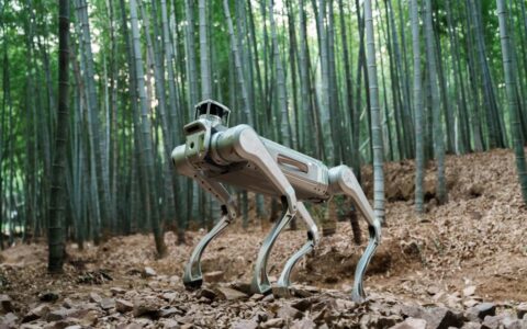 魔法原子发布其首个面向行业应用的四足机器人MagicDog Y1