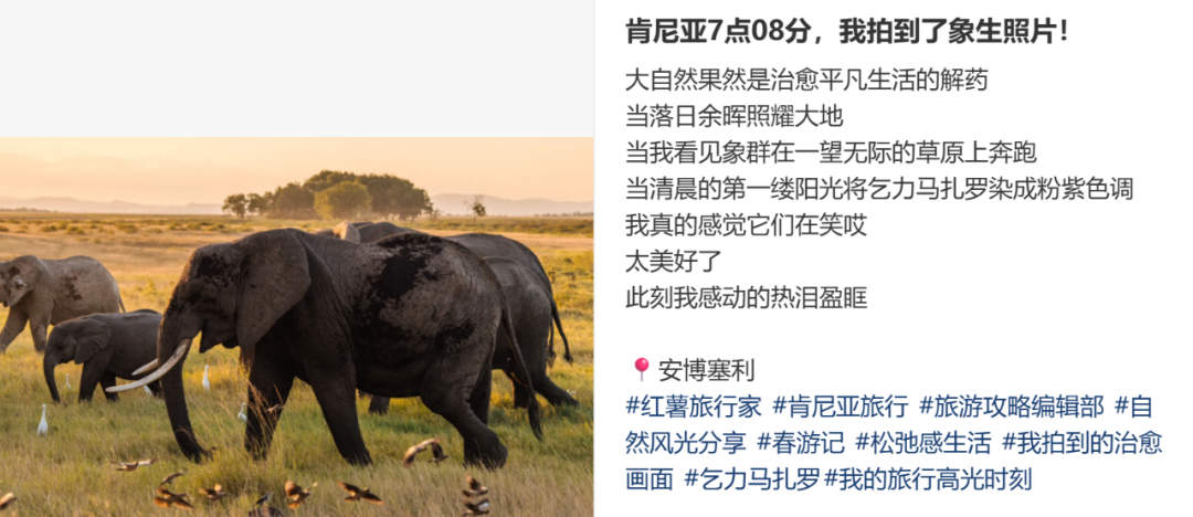 东非草原大堵车，真是中国游客扎堆“挤”出来的？