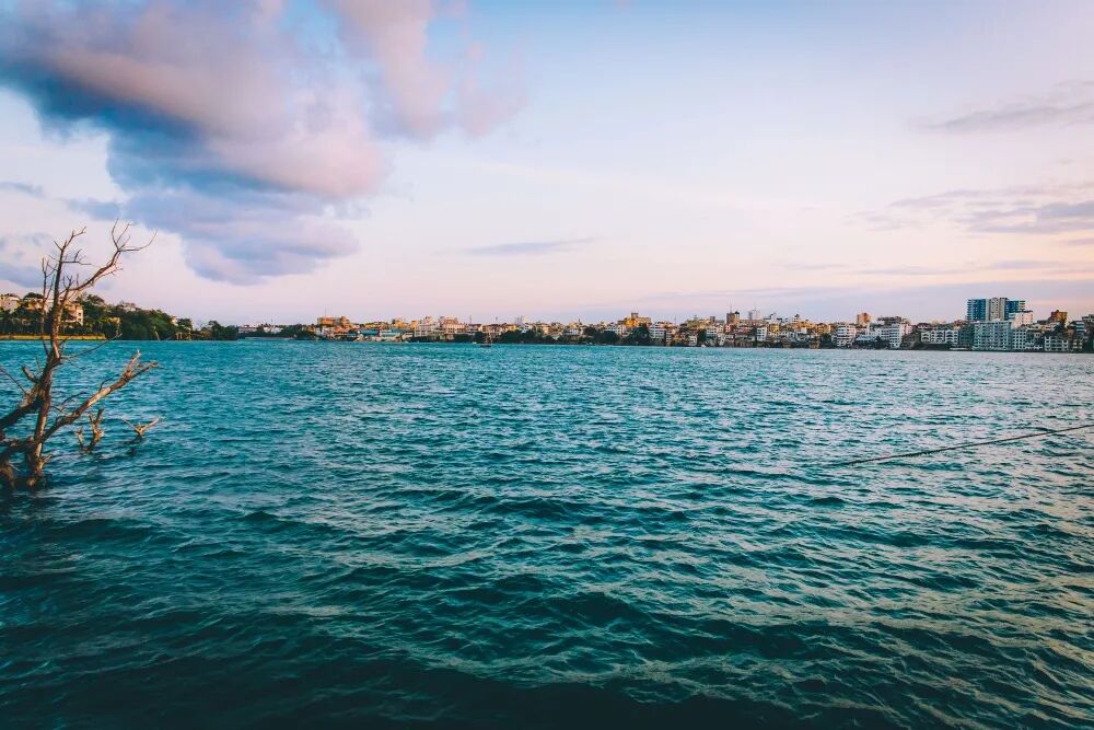 东非草原大堵车，真是中国游客扎堆“挤”出来的？