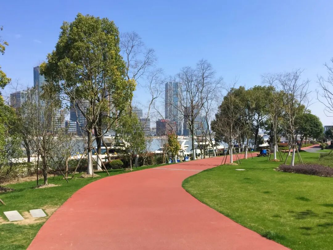 马拉松为什么集体“扑街”