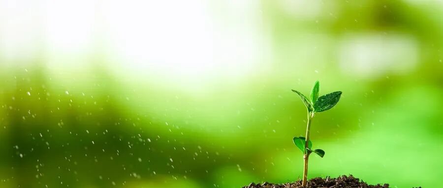 何享健的“科学基金”：30亿投入，200万滋养一位青年科学家