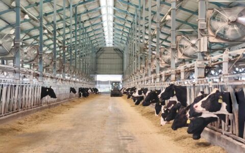 蒙牛被判赔伊利500万背后,“乳业双雄”其实都不轻松