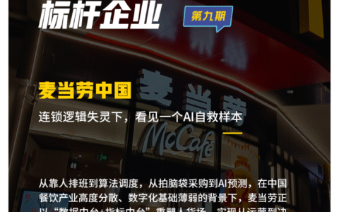 AI遇见“餐饮巨无霸”：麦当劳们的AI革命已经在路上了