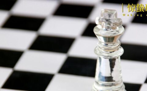 谜局中的娃小宗