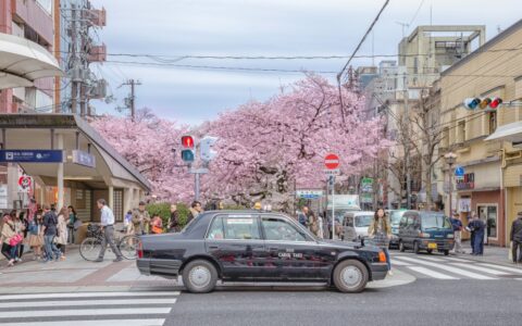 中国游客对日本贡献究竟有多大？