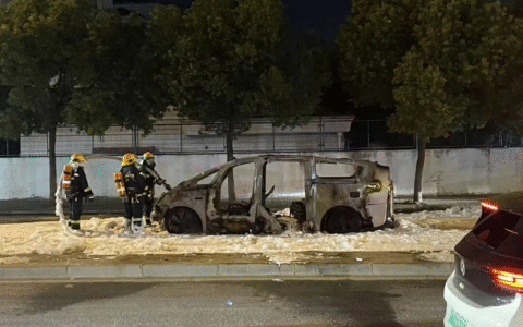 理想MEGA惊魂爆燃后，三元锂电池天塌了？