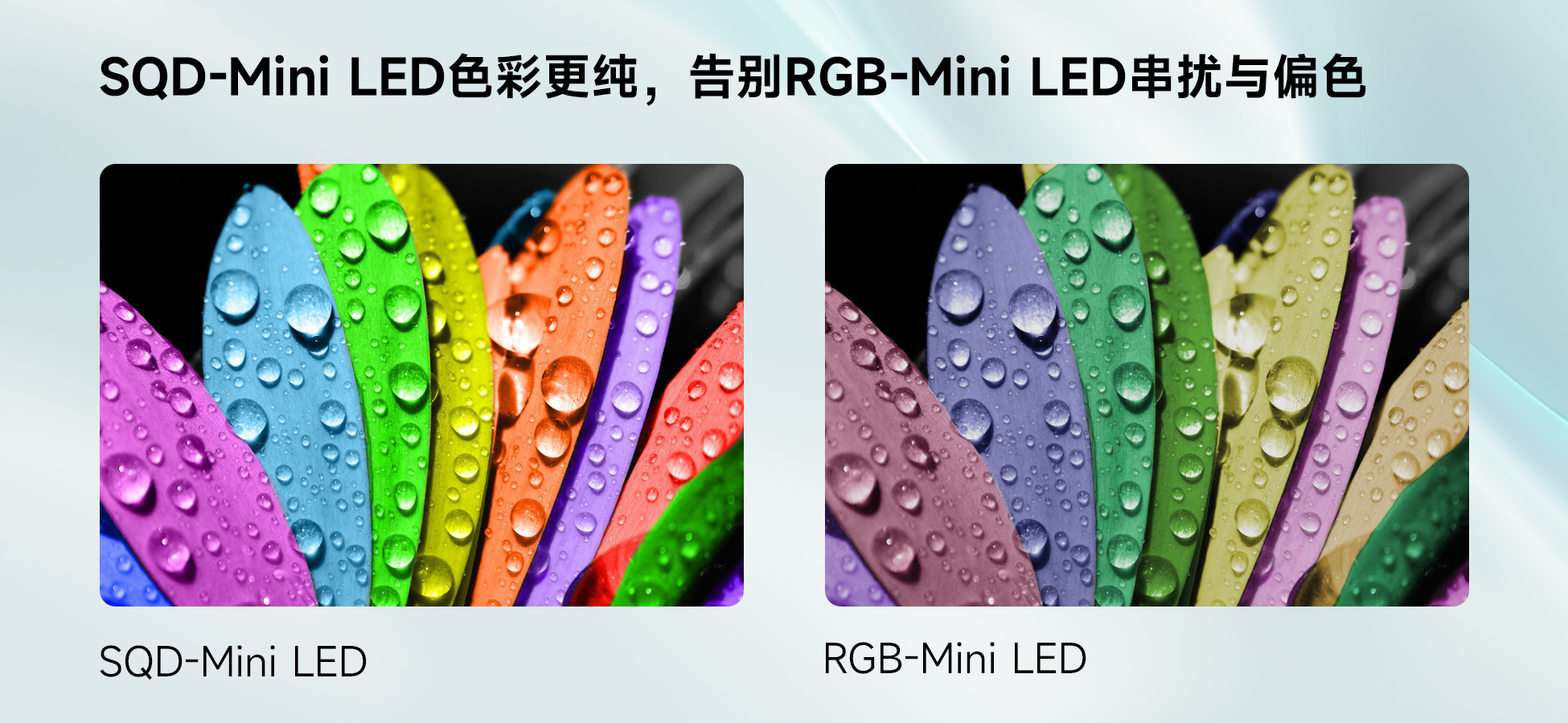 TCL SQD-Mini LED破十年画质困局，X11L荣获屠榜机皇