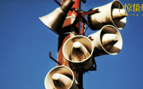 小红书的评论区，挤满了被京东采销训斥过的商家