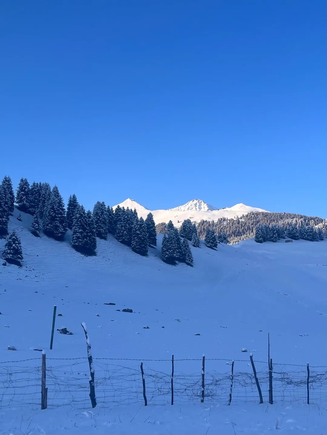 一线访谈丨脱离“正轨”的旅居人，在逃避什么？