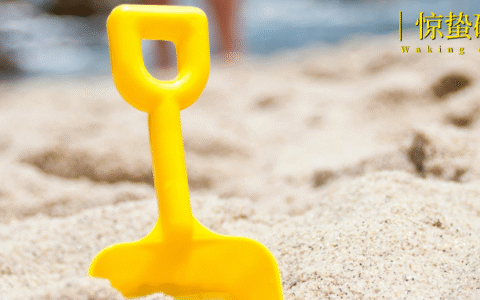 重新养自己，这七种「幼稚经济」俘获年轻人