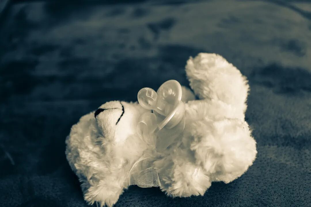 重新养自己，这七种「幼稚经济」俘获年轻人