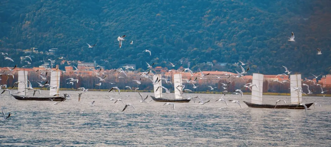 荒野求生变追剧，七星山想不火都难