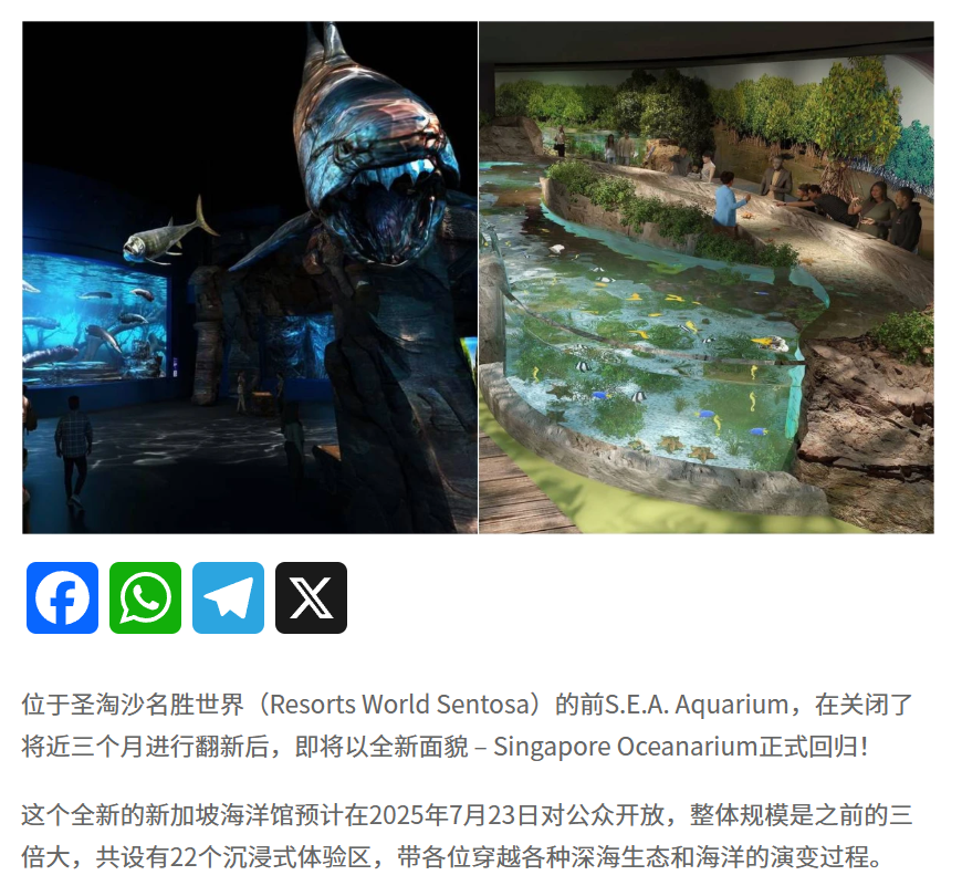 新加坡，重新定义银发旅行天花板